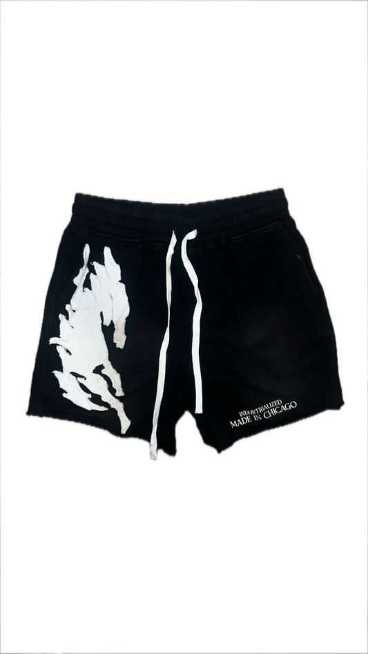 Jet Black Shorts